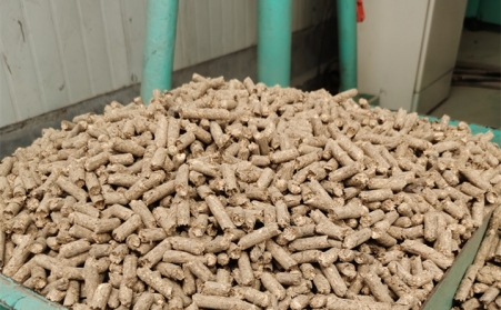 2021陽信清潔取暖1萬多戶全部使用生物質茄子影视视频在线观看的燃料顆粒