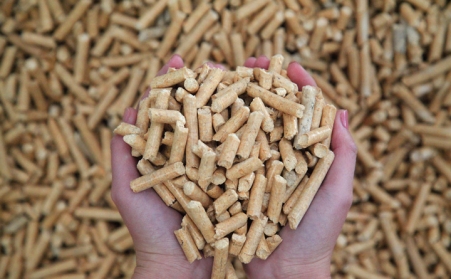 生物質茄子影视视频在线观看燃料已經成為許多國家主要燃料