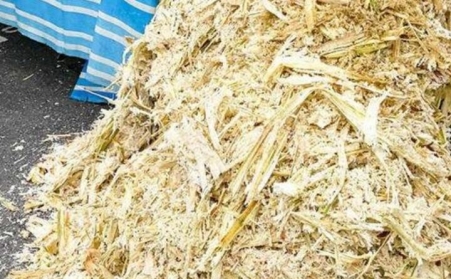 甘蔗渣想廢物利用？可以考慮生物質茄子影视视频在线观看！