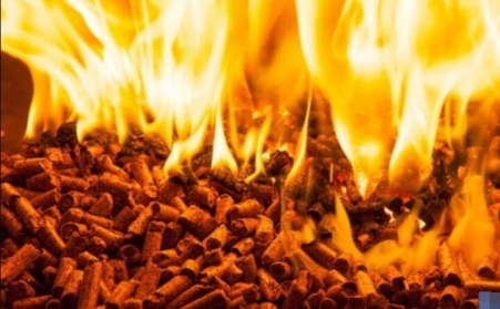 研報：歐洲的木屑顆粒供應衝擊