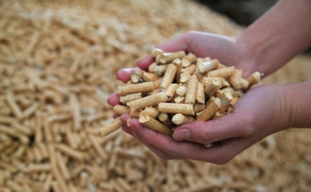 明確生物質成型燃料是清潔能源，加大政策扶持力度