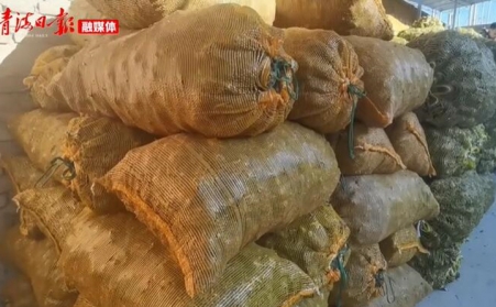 青海海東樂都：生物質顆粒燃料燃起鄉村振興新希望