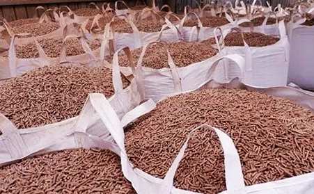 廣東省潮州市湘橋區：廢枝雜木“變身”生物質顆粒燃料，環保又增收