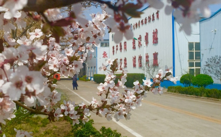 茄子视频免费观看四季