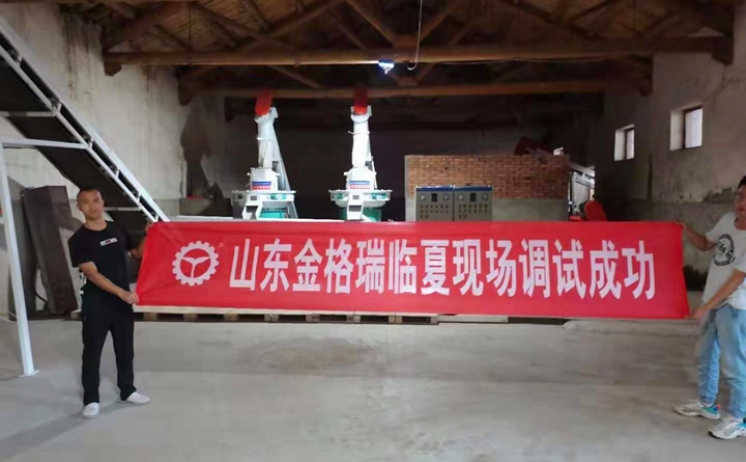 甘肅臨夏年產1萬5千噸生物質燃料茄子影视视频在线观看生產線調試完成