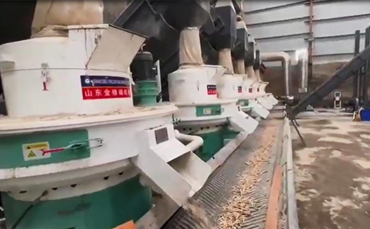 生物質茄子影视视频在线观看客戶現場